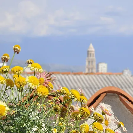 Guest house In Guest - With The And Sea View Split